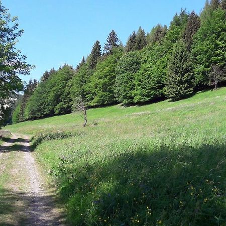 Rotterode Ferienhaus Moosbachtal Thueringer Wald Bei Oberhof מראה חיצוני תמונה