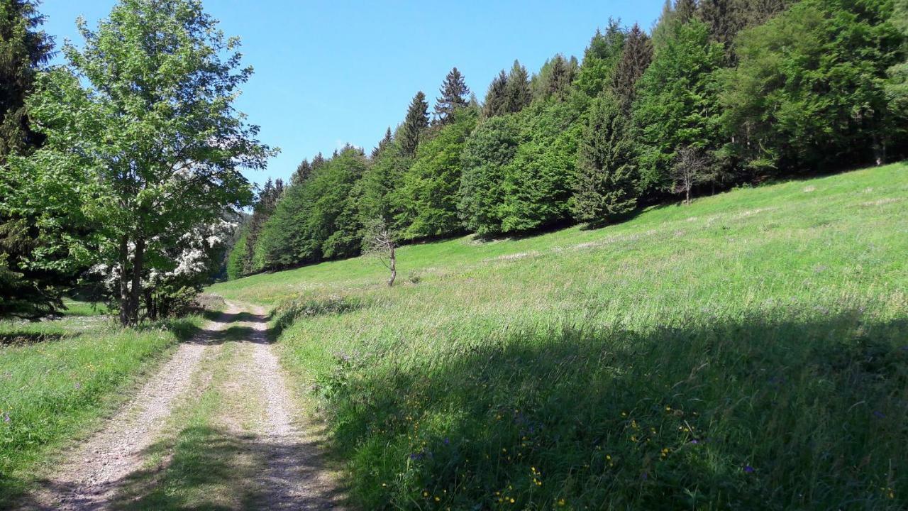 Rotterode Ferienhaus Moosbachtal Thueringer Wald Bei Oberhof מראה חיצוני תמונה